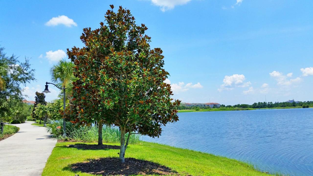 Vila Cosy Retreat Kissimmee Exteriér fotografie